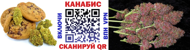 дарнет шоп  Оха  Canna-Cookies конопля 
