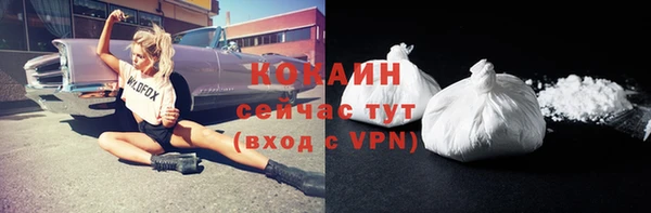 соль ск Белокуриха