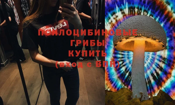 соль ск Белокуриха