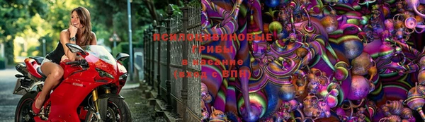 крисы Белоозёрский