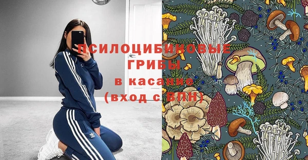 соль ск Белокуриха