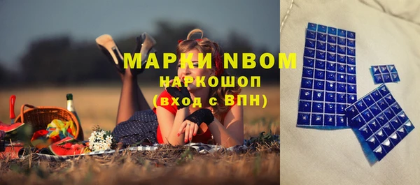 PSILOCYBIN Инта