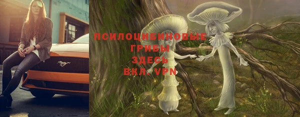 a pvp Беломорск
