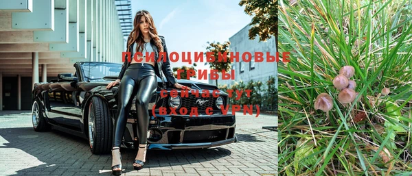 крисы Белоозёрский